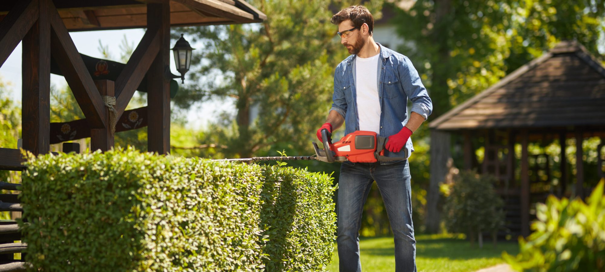 Caucasian male gardener shaping overgrown boxwood bush by hedge trimmer in garden. Front view of handyman using electric branch lopper for seasonal work in summer. Concept of seasonal work.